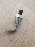 Interruttore porta, luce di cortesia Fiat 500 L